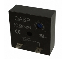 QASP10S110ADL Image.