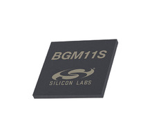 BGM11S22F256GA-V2 Image.